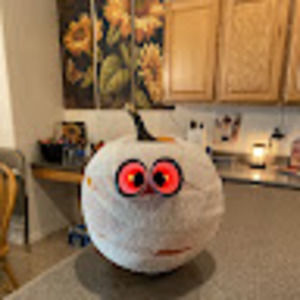 Meet your Posher, Laura-lee